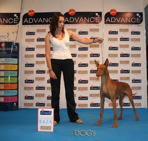 Pulse para ampliar imagen