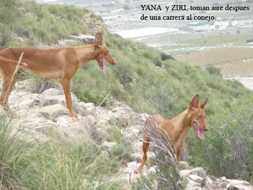 Pulse para ampliar imagen