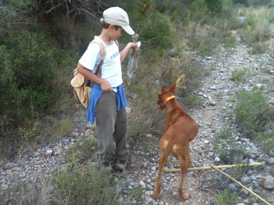 Pulse para ampliar imagen
